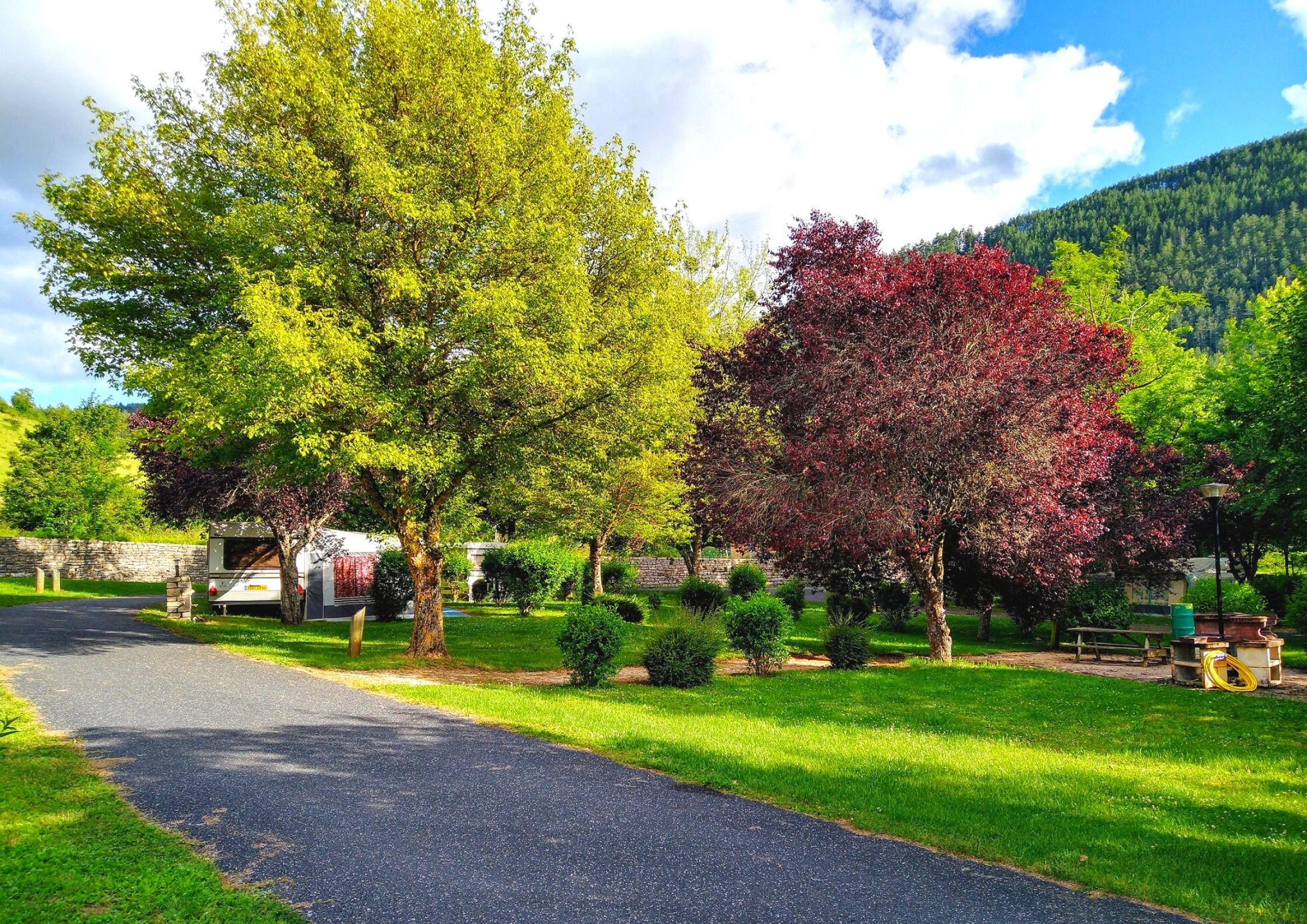Le camping de Chanac verdoyant