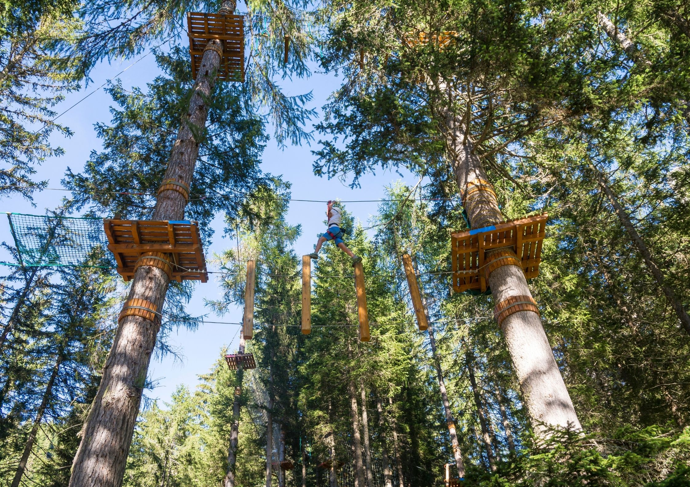 Activités autour de Chanac - Accrobranche