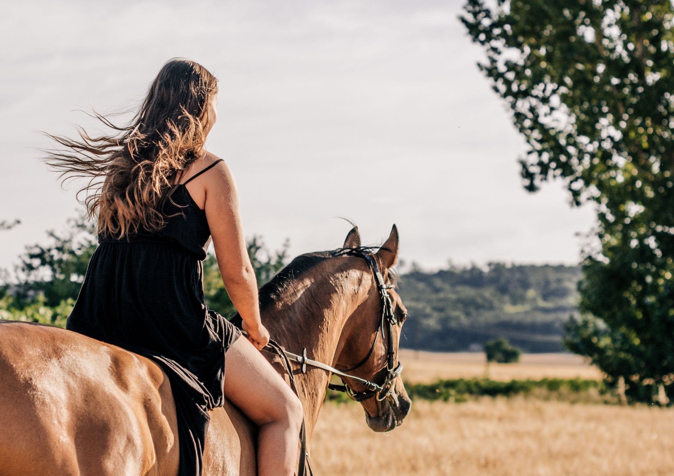 Activités autour de Chanac - Equitation