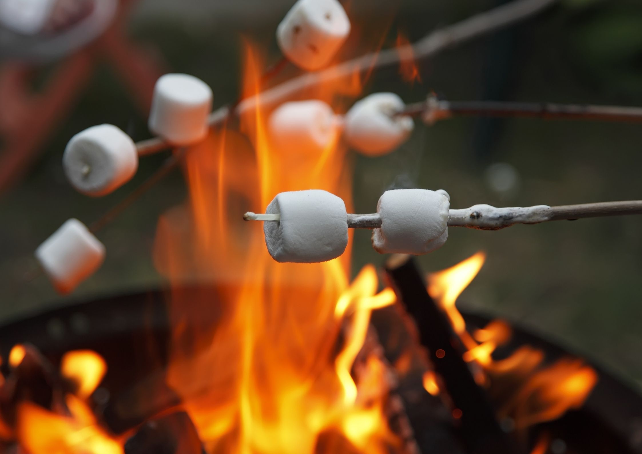 Les barbecues et les instants de partage au Camping de Chanac