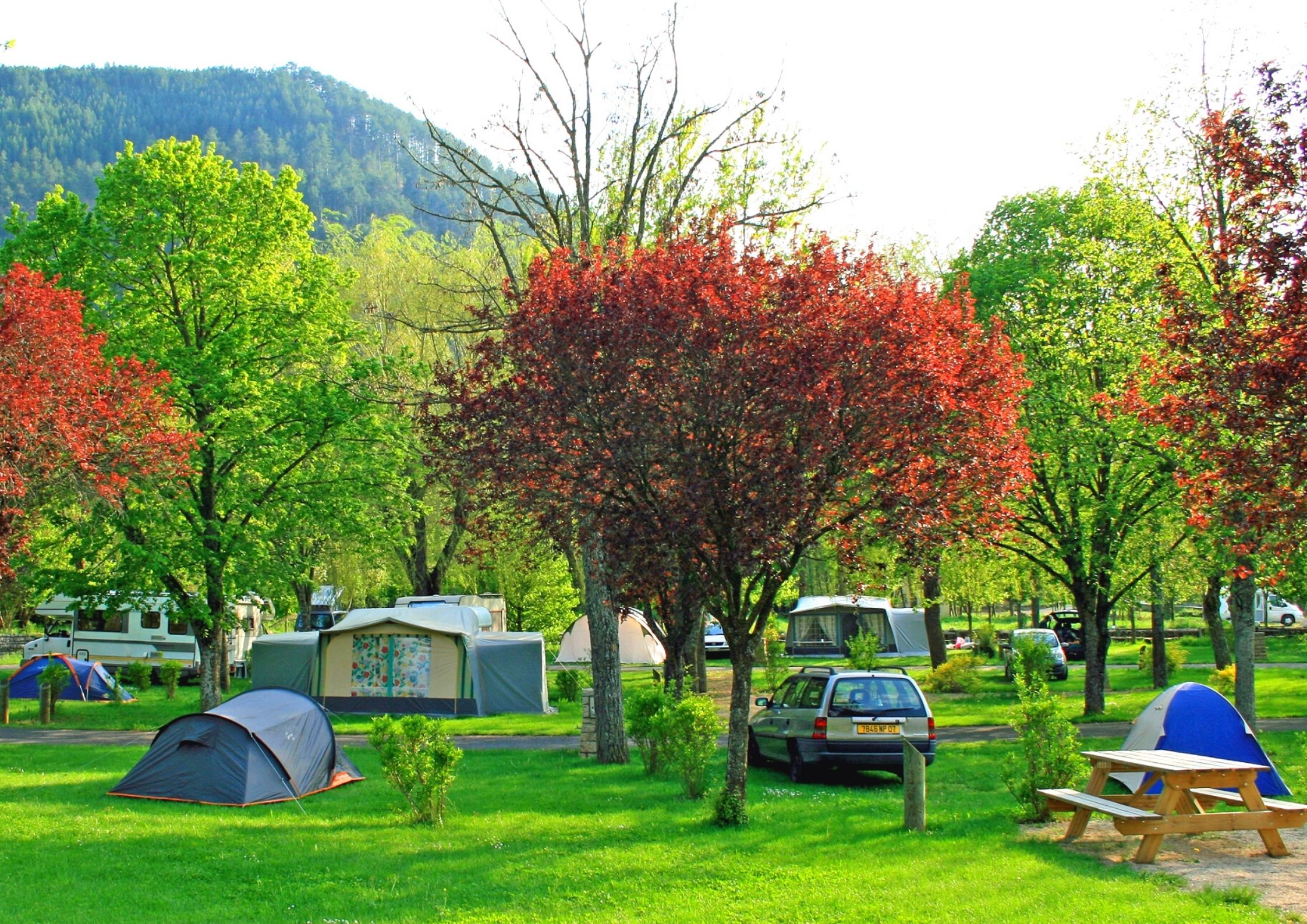 Emplacement du camping de Chanac pour tente